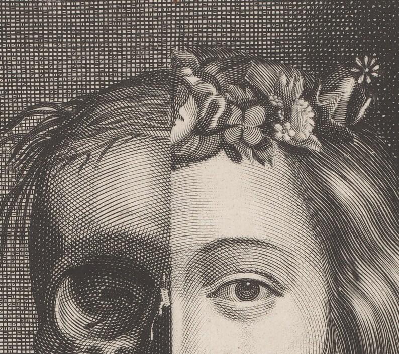 May include: A black and white illustration depicting a split face. One side shows a human skull, the other a woman's face adorned with a floral crown. The artwork is detailed with cross-hatching.