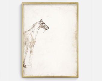 Antique Horse Sketch: Equestrian Art Print (Digital Download)