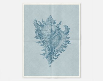 Vintage Conch Shell Art Print: Altered Risograph Style Newsprint