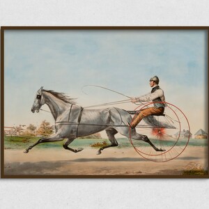 Vintage Equestrian Art Printable, Antique Horse Digital Art Download