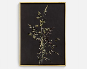 Natura morta scura e suggestiva: dipinto a olio su erba vintage (download digitale)