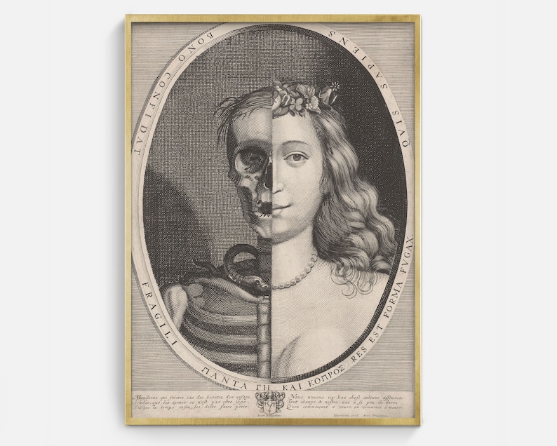 May include: A framed black and white print featuring a split portrait of a woman, one half a skull, the other a living face. The print includes Latin text and is set in a gold frame. The artwork is a vintage anatomical illustration.