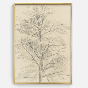 Printable Vintage Tree Sketch Wall Art, Antique Nature Drawing Digital Art Download