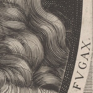 May include: A detailed black and white etching featuring stylized hair with curved lines and a textured background. The image includes the text "RMA FVGAX" along the right edge, suggesting a historical or artistic theme.