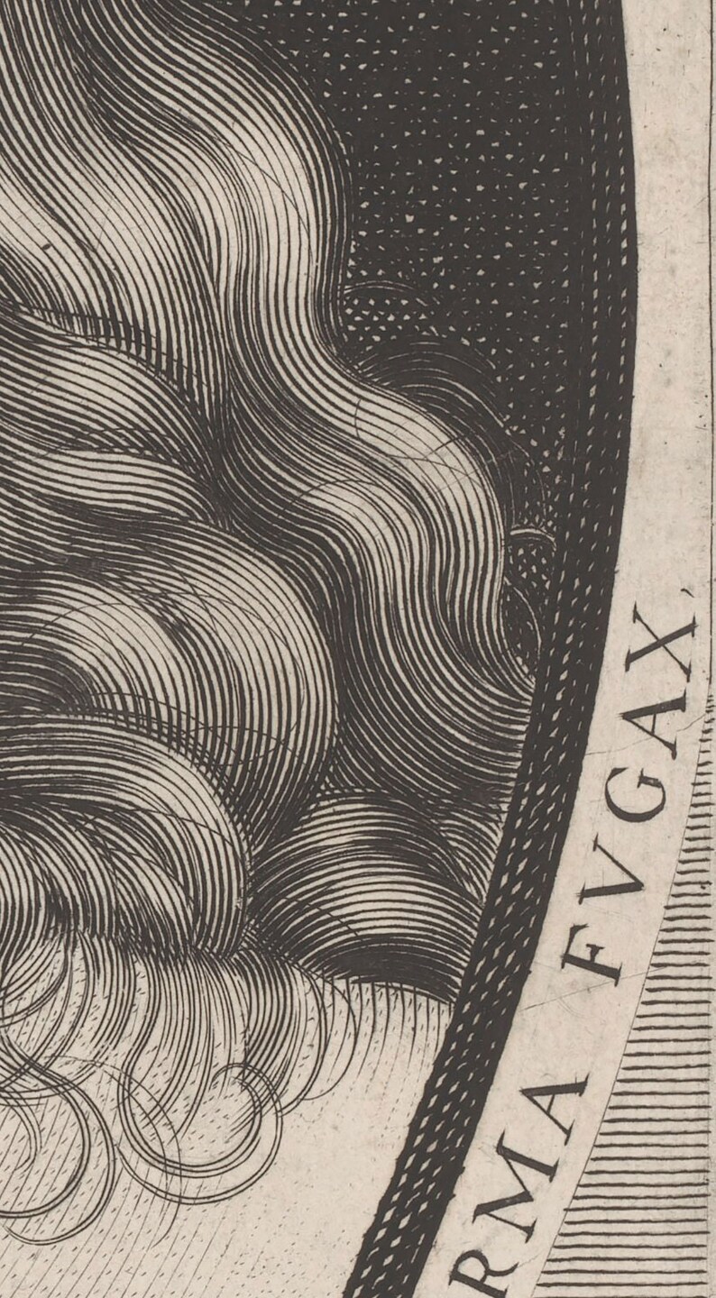 May include: A detailed black and white etching featuring stylized hair with curved lines and a textured background. The image includes the text "RMA FVGAX" along the right edge, suggesting a historical or artistic theme.
