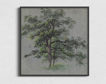Vintage Tree Sketch Art Print: Square Botanical Drawing (Digital Download)