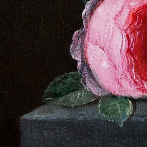 May include: A close-up of a pink rose with green leaves against a dark background. The rose is partially visible, with its petals showing a delicate pink and white color.