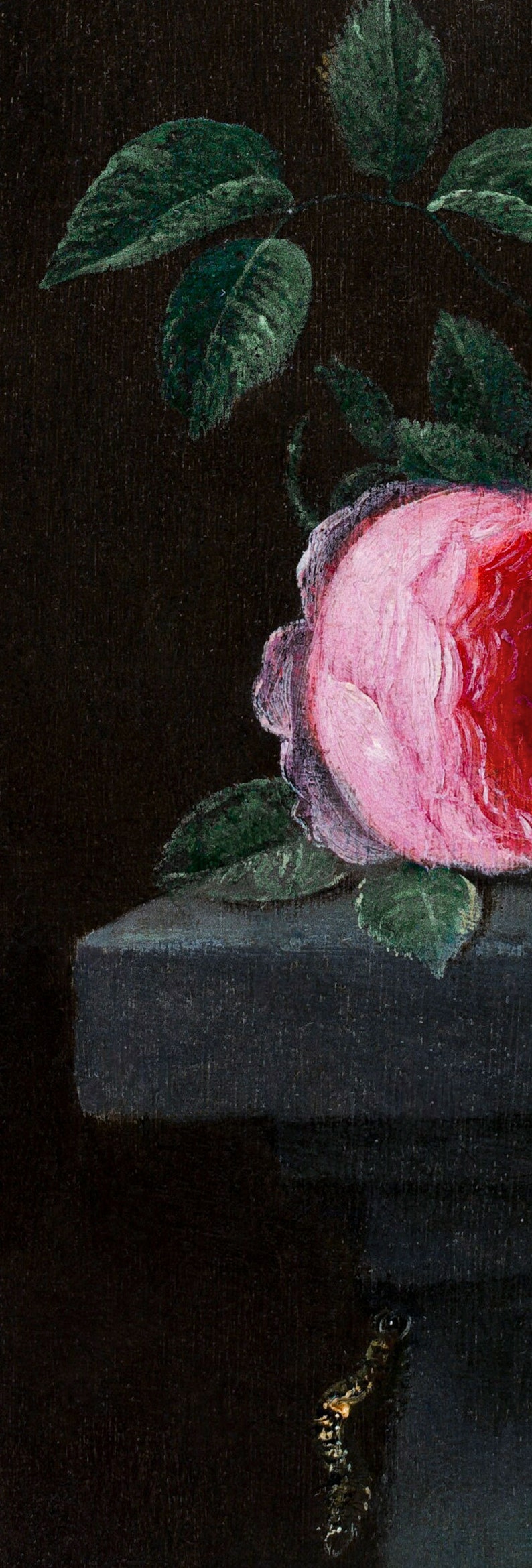 May include: A close-up of a pink rose with green leaves against a dark background. The rose is partially visible, with its petals showing a delicate pink and white color.