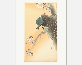 大原古邨作 白孔雀の版画、日本の木版ポスター - Etsy 日本