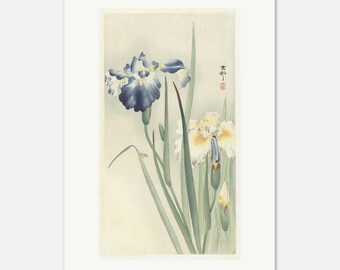 Ohara Koson Irissen | Japanse bloemen muurdecoratie | Houtsnede | Japandi woondecoratie