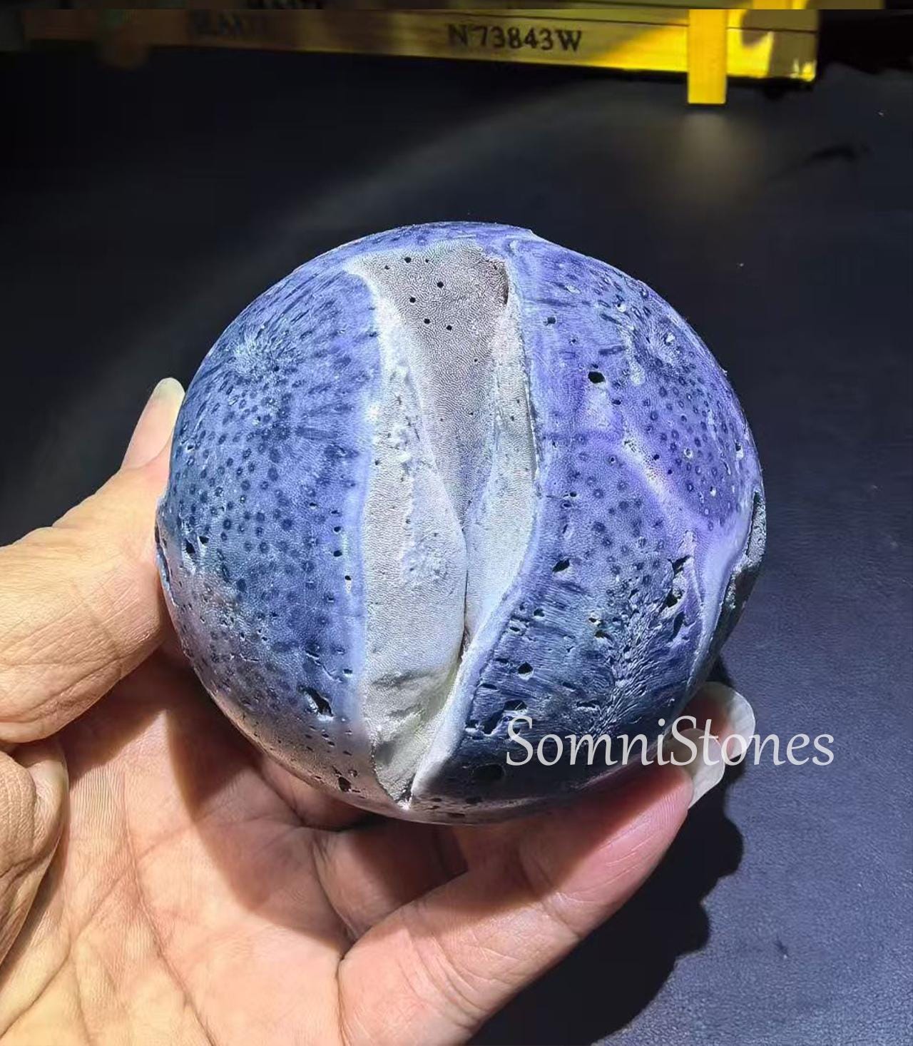 Rare Blue Coral - Etsy Canada