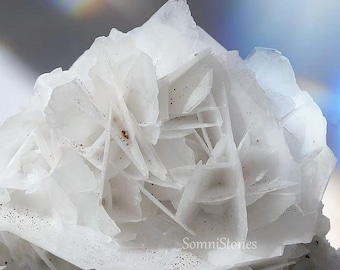 White Rose Calcite Specimen Rose Flower Calcite UV Reactive