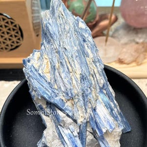 以下が含まれることがあります： 生の、自然な青い藍晶石の結晶クラスター。結晶は、青と白の色合いを持つ、層状の繊維構造をしています。黒いボウルに入っています。「SomniStores」の文字が見えます。