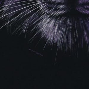 vintage 1998 Tiger Liquid Blue Shirt Size: 24" image 3