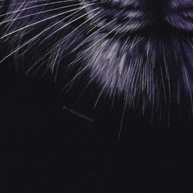 vintage 1998 Tiger Liquid Blue Shirt Size: 24" image 3