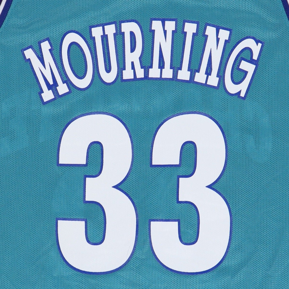 Vintage 1990s alonzo mourning charlotte hornets nba basketball