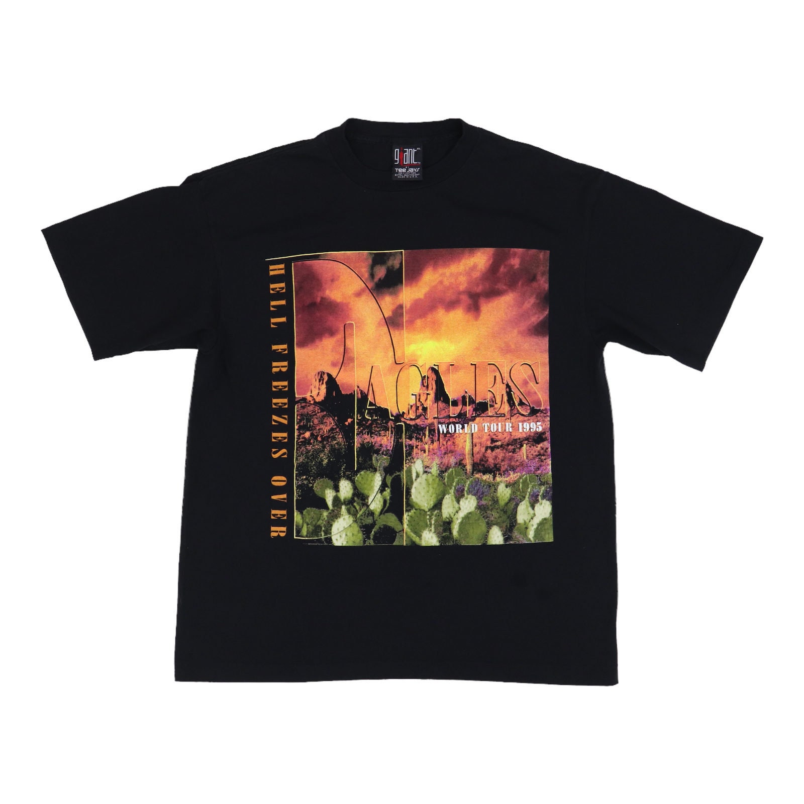 EAGLES HELL FREEZES OVER 1995 Tシャツ