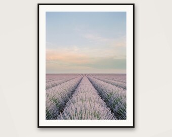 Lavender Rows at Dusk Art Print | Minimalist Provence Landscape (Digital Download)