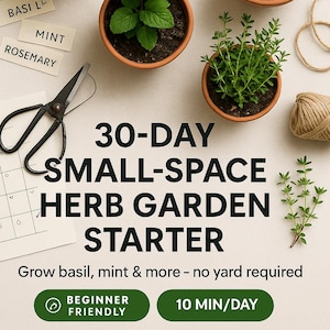 Puede incluir: Una vista aérea de un kit de inicio de pequeño jardín de hierbas. La imagen presenta pequeñas macetas de terracota con albahaca, menta, romero y tomillo. También hay tijeras negras, hilo y un calendario. El texto dice "Kit de inicio de jardín de hierbas de 30 días".