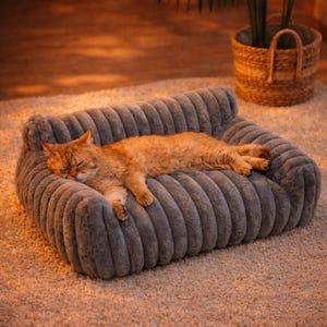 Könnte beinhalten: Eine schlafende orange Katze liegt auf einem grauen, plüschigen Haustiersofa. Das Sofa hat ein geripptes Design und steht auf einem hellen Teppich. Ein geflochtener Korb mit einer Pflanze befindet sich im Hintergrund.