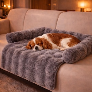 以下が含まれることがあります： グレーのふわふわした犬用ベッドで眠るキャバリア・キング・チャールズ・スパニエル犬。犬は茶色と白の毛並みです。ベッドはベージュのソファの上に置かれています。