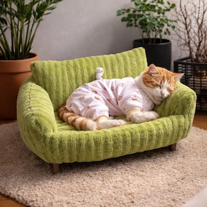 May include: An orange and white cat, wearing a pink strawberry-print onesie, sleeps on a small, green corduroy sofa. The sofa has wooden legs and sits on a beige rug. Plants are visible in the background.