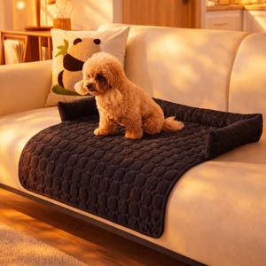 Puede incluir: Un perro pequeño, de color canela, está sentado en una cama acolchada gris oscuro para mascotas sobre un sofá beige. La cama tiene bordes elevados y una superficie texturizada. Un cojín con un panda es visible en el fondo.