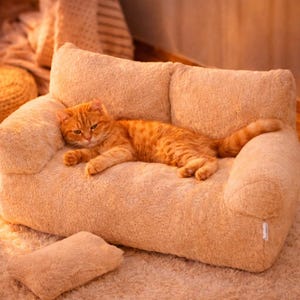 May include: An orange tabby cat lounging on a small, plush, beige sofa. The sofa has a two-cushion back and a matching rectangular pillow. The cat is curled up comfortably, with its tail extended. The sofa is on a beige carpet.