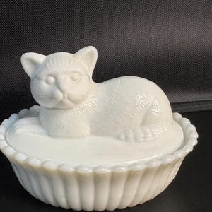 Cat on Nest Glass - Etsy