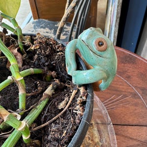 Könnte beinhalten: Eine Keramik-Froschfigur in Türkis- und Brauntönen, die am Rand eines schwarzen Blumentopfs sitzt. Der Frosch hat große, runde Augen und eine strukturierte Oberfläche. Der Topf enthält Erde und grüne Pflanzenstängel.