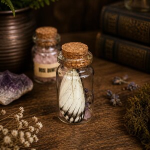 May include: A small glass jar with a cork stopper, displaying a white butterfly wing with black detailing. The jar is on a wooden surface, alongside other jars, dried flowers, and crystals. The image evokes a vintage, apothecary style.