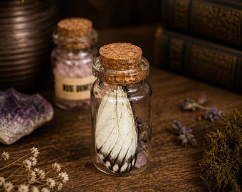 Echte Schmetterlingsflügel Glas Kuriosität Flasche, Zauber Glas, Entomologie, Insekten Taxidermy Glas, Witchy Gothic Dekor, Kristalle
