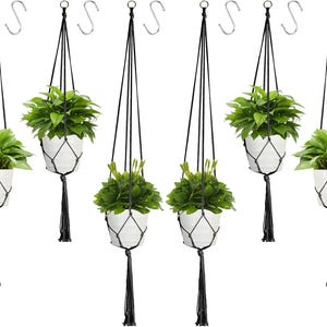 May include: Six hanging macrame plant holders with white ceramic pots filled with green plants. Each holder has a black rope design and a tassel at the bottom. Silver-coloured hooks are at the top for hanging.