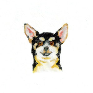 Może przedstawiać: Cyfrowy portret artystyczny psa rasy chihuahua. Pies ma czarne, brązowe i białe futro, z dużymi, wyprostowanymi uszami. Grafika została stworzona za pomocą teksturowanych linii, nadając jej szkicowy wygląd, na białym tle.
