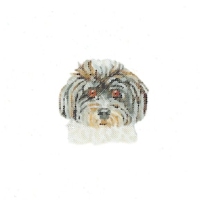Havanese print / Tiny Dog Print