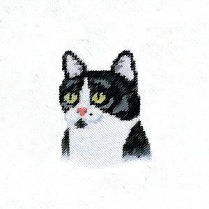 Black and white Cat Print / Tuxedo cat print / Tiny Cat Print