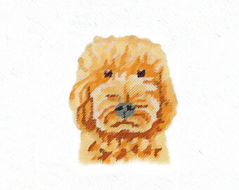 May include: A close-up of a golden brown dog's face. The dog has a soft, fluffy coat and big, brown eyes.