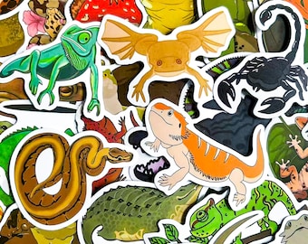 Pack of 50 Reptile Stickers, Gecko Lizard Stickers, Bearded Dragon Stickers, Animal Stickers, Waterproof Stickers for Terrarium, Scrapbook