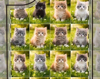 Funda para teléfono con estampado de gatitos | Azulejos de gatos coloridos