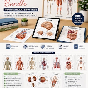May include: A digital bundle of 100+ human body parts and medical study sheets featuring coloured anatomical illustrations of the skeletal, muscular, digestive, and nervous systems. Includes A4 printable diagrams, labels, and a 2026-2028 digital planner.