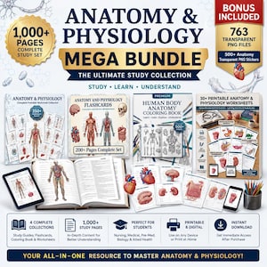 Peut inclure: Anatomy & Physiology Mega Bundle comprenant une collection de supports d'étude incluant des fiches imprimables, des cartes mémoire et un livre de coloriage anatomique. L'ensemble contient plus de 1 000 pages, 763 fichiers PNG et 500+ autocollants.