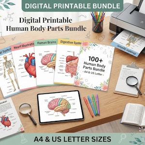 Könnte beinhalten: Ein digitales druckbares Bundle mit anatomischen Illustrationen des menschlichen Körpers, einschließlich Skelett, Herz, Gehirn und Verdauungssystem. Das Bundle enthält ein gedrucktes Booklet, ein Tablet und eine Lupe. Der Text lautet "100+ Human Body Parts Bundle - A4 & US Letter Sizes."