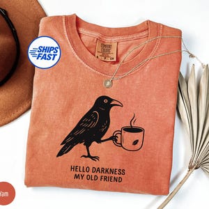 May include: A terracotta-colored crewneck t-shirt featuring a black graphic of a crow holding a coffee mug. The text "HELLO DARKNESS MY OLD FRIEND" is printed below the crow. The shirt has a Comfort Colors brand label at the inner neckline.
