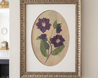 Pressed Flower Gold Frame – Real Dried Christmas Rose, Unique Botanical Wall Art