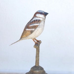 Passero di cartapesta, scultura di passero in carta