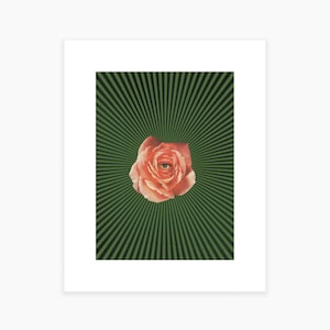 Rose Eye Art Print