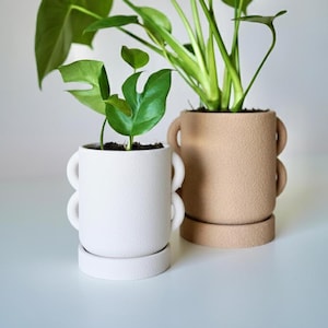 May include: Two textured ceramic planters, one white and one tan, each holding a green plant. The planters have a unique design with curved handles. The plants have large, vibrant green leaves, adding a touch of nature to any space.
