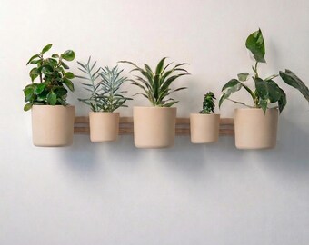 Beige muur plantenbak, boho indoor tuinsysteem, plank Japandi kamerplant, aards huisdecor, horizontale wijnstok display
