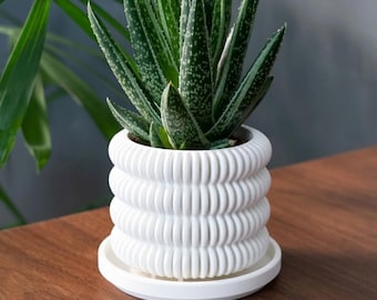 The Cifton - Moderner Bubble-inspirierter Blumentopf (3 Größen, 5 matte Farben)