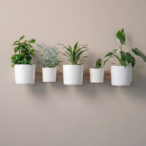Modular Horizontal Wall Planter, 3D Printed Indoor Garden System, Hanging Succulent Shelf